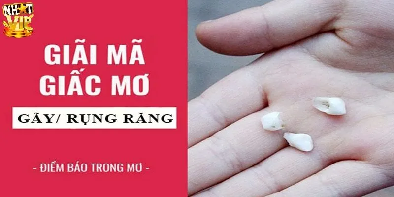 Mơ Thấy Răng Rụng - Giải Mã Điềm Báo Và Con Số May Mắn Giải mã chi tiết giấc mơ thấy răng rụng