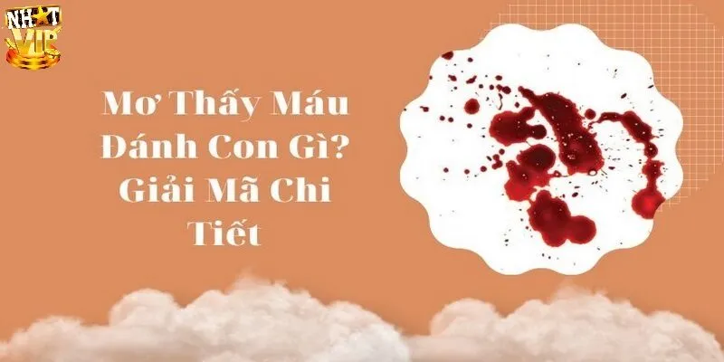 Mơ Thấy Máu Đánh Con Gì? Gợi Ý Các Con Số May Mắn Chơi Lô Đề Giải mã mơ thấy máu đánh con gì cho lô thủ