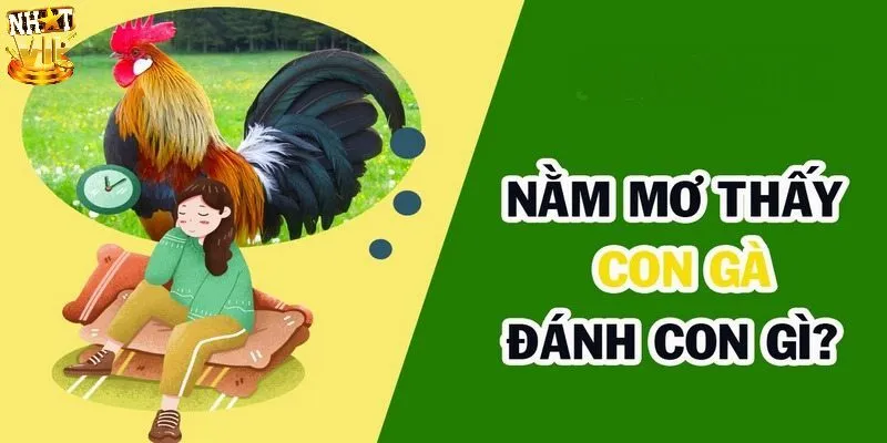 Mơ Thấy Gà Là Điềm Báo Gì Và Nên Đánh Số Nào Để Trúng Lớn? Ý nghĩa giấc mơ thấy gà