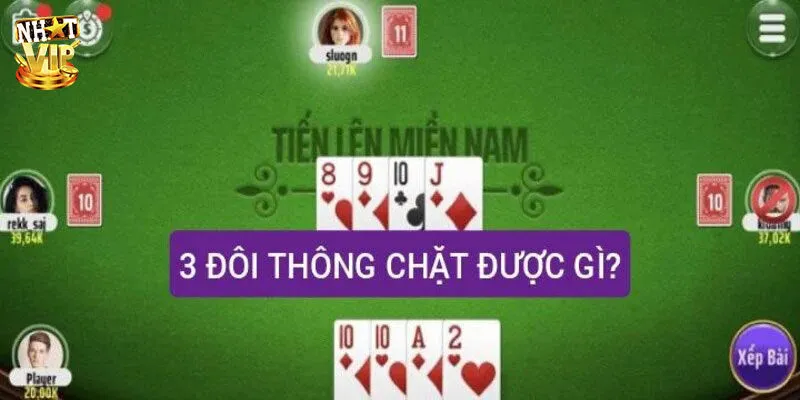 3 Đôi Thông Chặt Được Gì? Thông Tin Chi Tiết Cho Newbie Vài nét tìm hiểu về 3 đôi thông