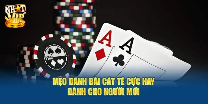 Bài Catte - Bật Mí Cách Chơi Cực Dễ Cho Người Mới Bắt Đầu Quy trình đánh bài catte đơn giản cho newbie