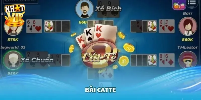Bài Catte - Bật Mí Cách Chơi Cực Dễ Cho Người Mới Bắt Đầu Luật chơi bài catte quan trọng cho người mới bắt đầu