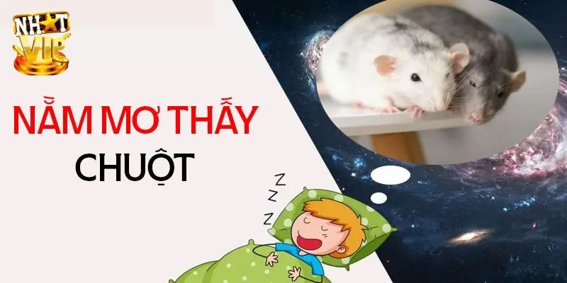 Mơ Thấy Chuột - Giải Mã Giấc Mơ Cùng Con Số Mới Nhất 2024 Tổng hợp thông điệp, ý nghĩa giấc mơ thấy chuột
