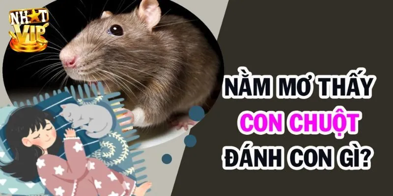Mơ Thấy Chuột - Giải Mã Giấc Mơ Cùng Con Số Mới Nhất 2024 Khi nằm mơ thấy chuột đánh con gì ăn được lô đề?