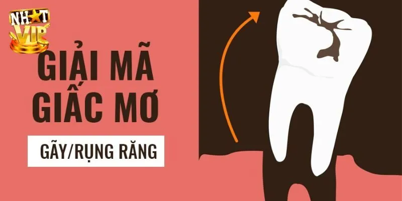 Mơ Thấy Răng Rụng Điềm Gì? Thông Tin Hữu Ích Cho Các Bạn Con số may mắn của mơ thấy răng rụng