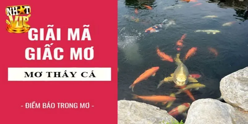 Mơ Thấy Cá - Giải Mã Giấc Mộng Cùng Con Số Lô Đề May Mắn Giải mã giấc mơ thấy cá phổ biến mới nhất 2025