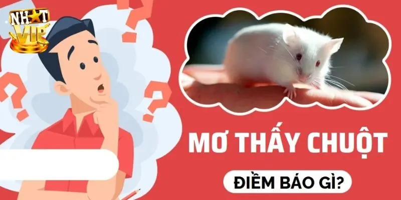 Mơ Thấy Chuột - Giải Mã Giấc Mơ Cùng Con Số Mới Nhất 2024 Nhìn thấy chuột bạch trong mộng